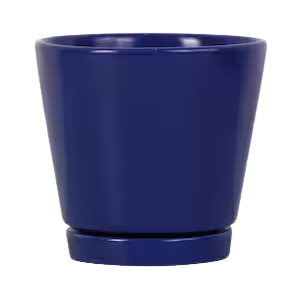 4" Knack Navy Pot