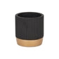 Aurone Round Ceramic Pot with Gold Finished Base - Black: Large