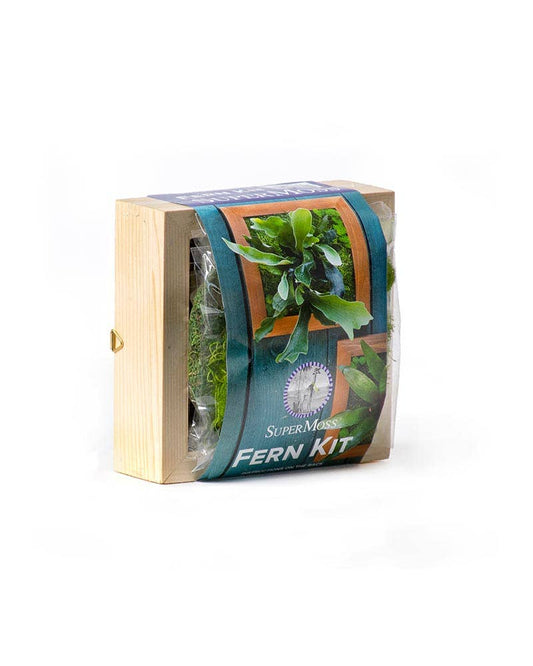 Mounted Fern Kit: 6x6