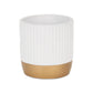Aurone Round Ceramic Pot with Gold Finished Base - White: Small