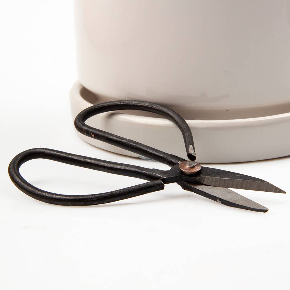Plant Pruning Scissors - Edward Ikebana Garden Shears