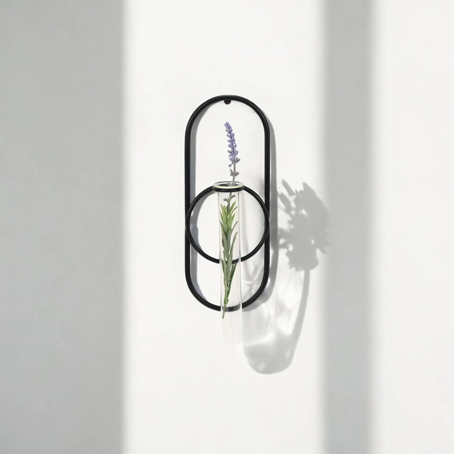 Sephra Metal Loop Glass Wall Planter: Black