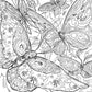 Green Witch's Coloring Book by Arin Murphy-Hiscock: Paperback; 80 pages / English