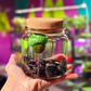 Large Marimo Marimo Moss Ball Terrarium with Obsidian Stones