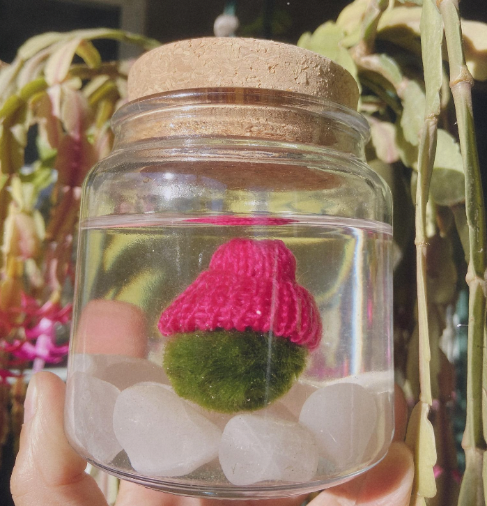 Moss Beanie: Sage