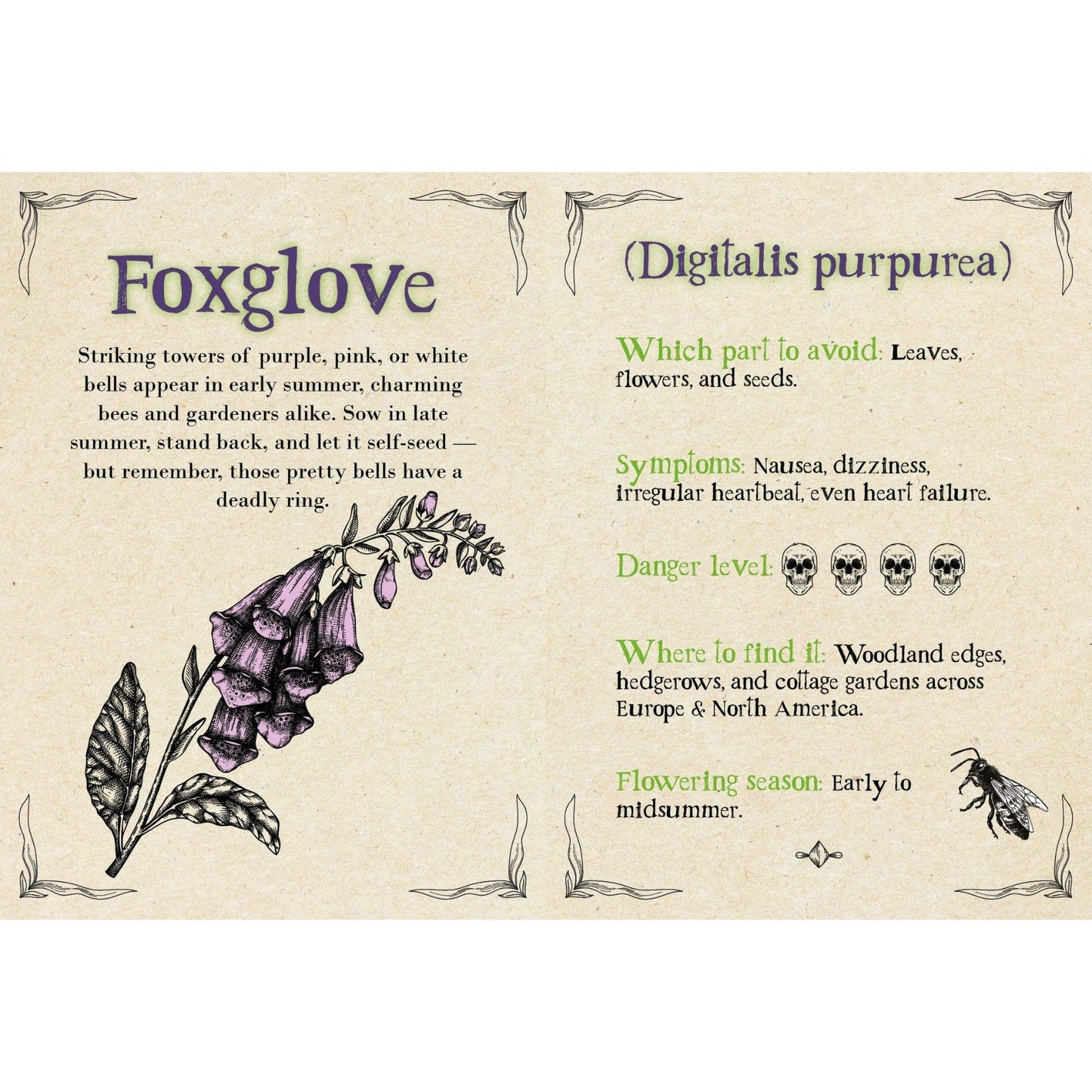 Deadly Blooms – A Botanical Guide to the Deadliest Plants