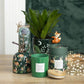 Green Forest Print Plant Pot with Fox