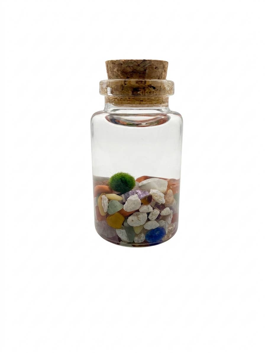 Tiny Marimo Moss Ball Terrarium with Rainbow Gemstones