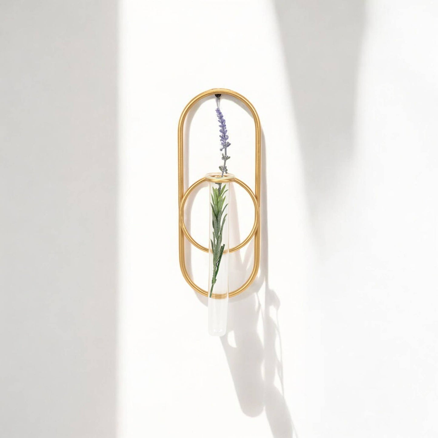 Sephra Metal Loop Glass Wall Planter: Gold