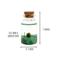 Tiny Marimo Moss Ball Terrarium with Aventurine Gemstones: Single