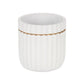 Aurine Round Gold Trimmed Ridged Ceramic Pot - White: Small