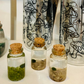 Tiny Marimo Moss Ball Terrarium with Golden Quartz Gemstones: Single