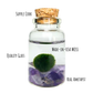 Tiny Marimo Moss Ball Terrarium with Amethyst Gemstones: Single