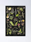 Dangerous Plants A (Plantes Dangereuses A) by Adolphe Millot: 11x17 Inches