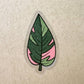 Sticker - Pink Princess Philodendron