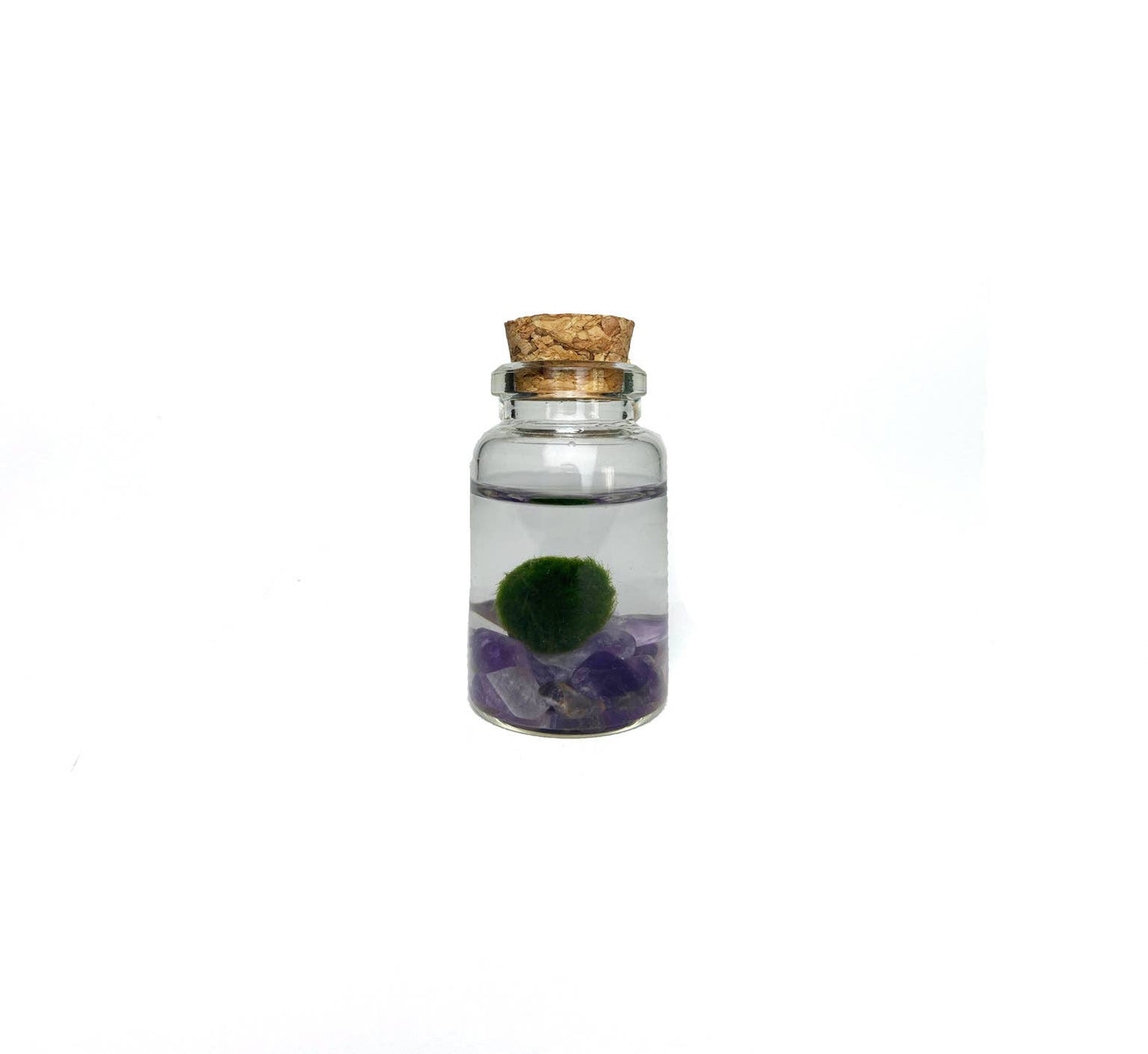 Tiny Marimo Moss Ball Terrarium with Amethyst Gemstones: Single