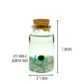 Tiny Marimo Moss Ball Terrarium with Amazonite Gemstones