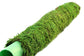 SuperMoss Moss Poles: 18"