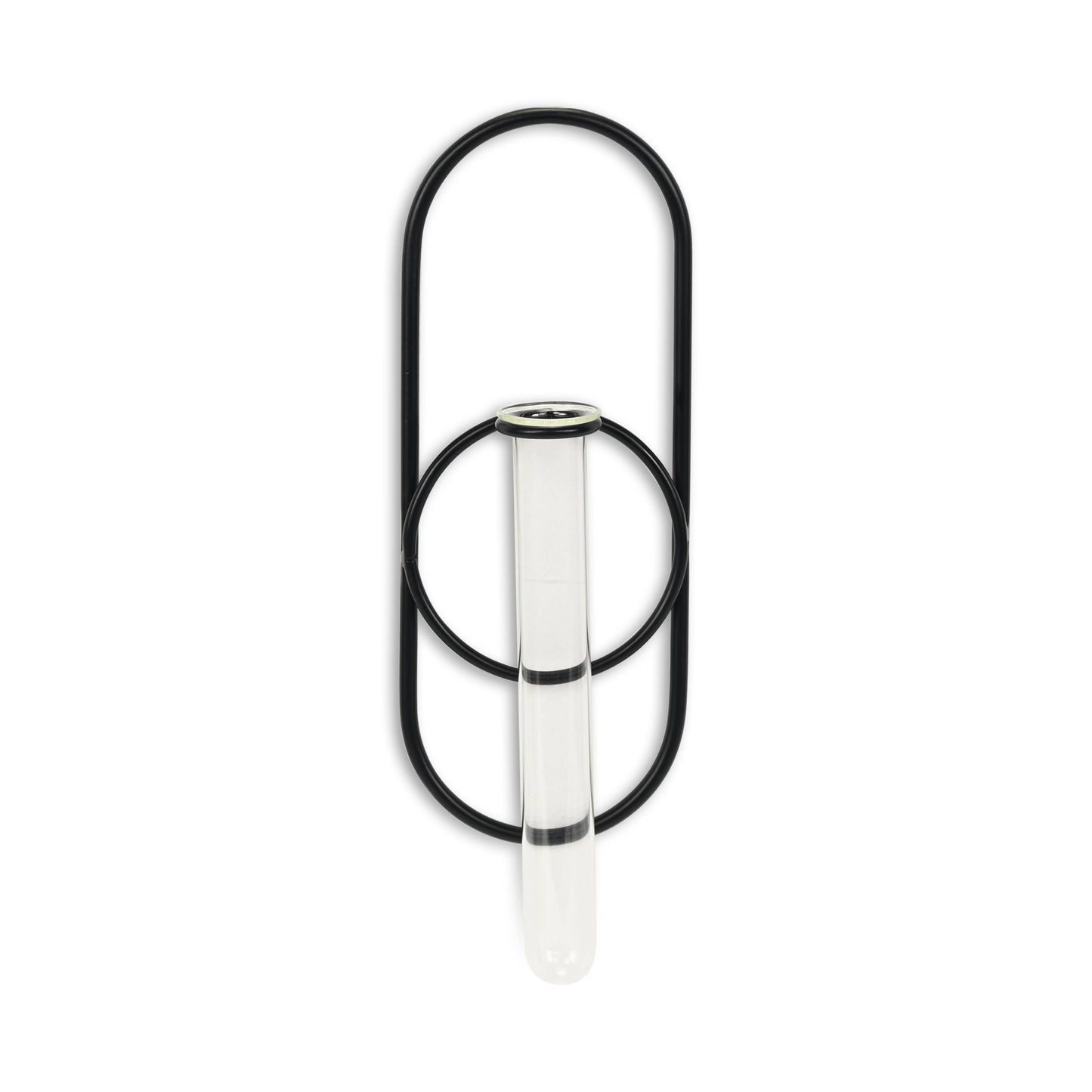 Sephra Metal Loop Glass Wall Planter: Black