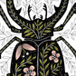8" x 10" Stag Beetle Art Print