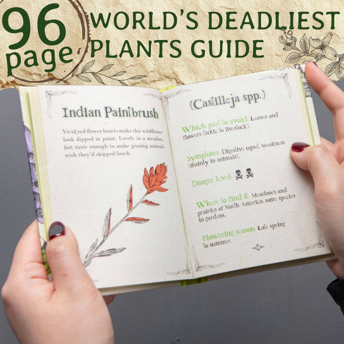 Deadly Blooms – A Botanical Guide to the Deadliest Plants