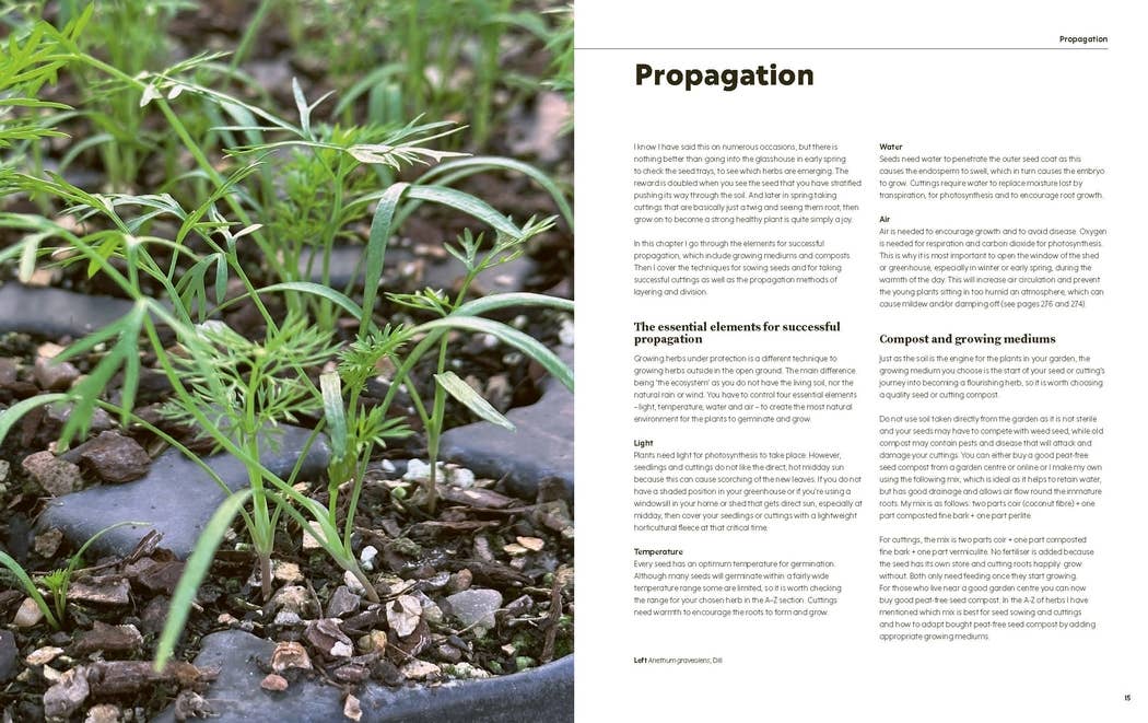 100 Herbs to Grow