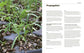 100 Herbs to Grow