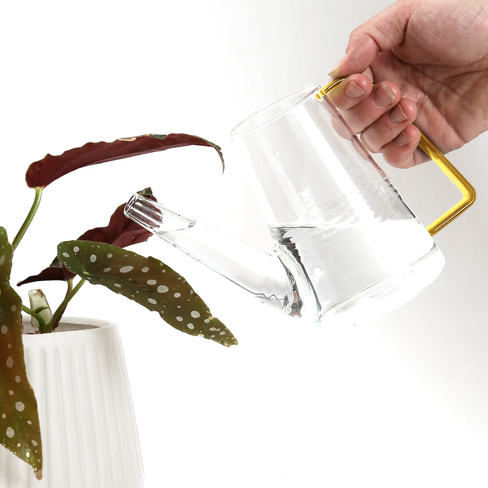 Colorful Glass Plant Watering Can: Green