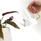 Colorful Glass Plant Watering Can: Green