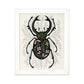 8" x 10" Stag Beetle Art Print