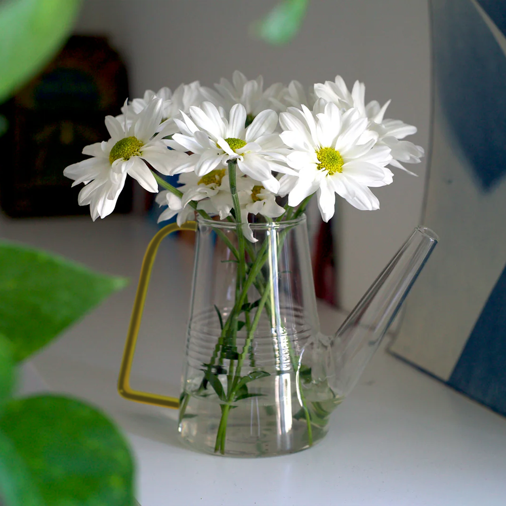 Colorful Glass Plant Watering Can: Green