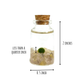 Tiny Marimo Moss Ball Terrarium with Golden Quartz Gemstones: Single
