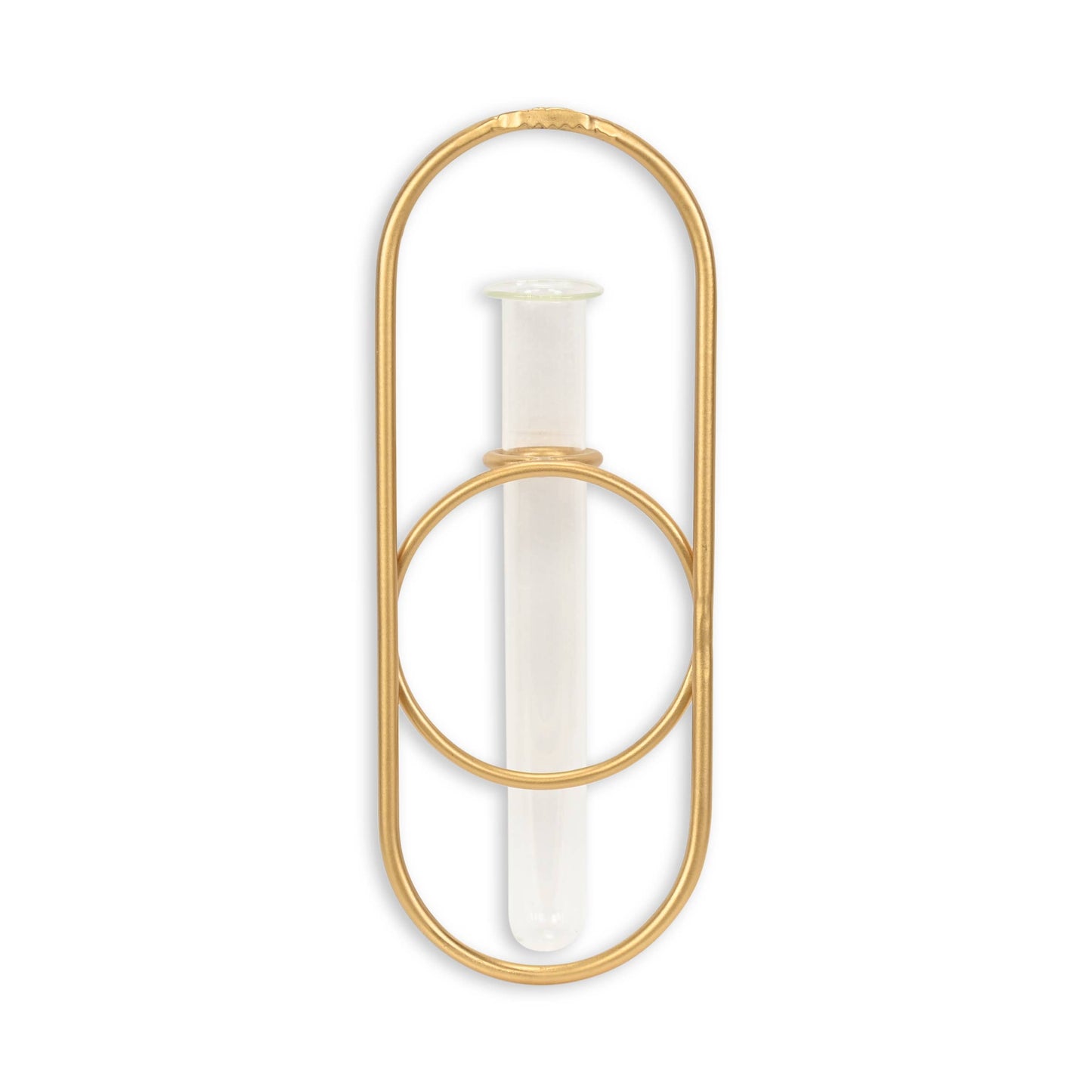 Sephra Metal Loop Glass Wall Planter: Black