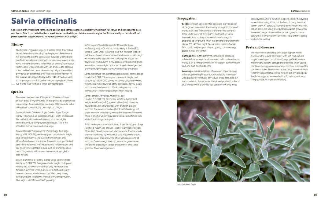 100 Herbs to Grow