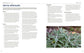 100 Herbs to Grow