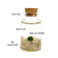 Tiny Marimo Moss Ball Terrarium with Golden Quartz Gemstones: Single