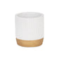 Aurone Round Ceramic Pot with Gold Finished Base - White: Large