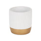 Aurone Round Ceramic Pot with Gold Finished Base - White: Small
