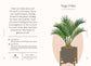 Houseplants and Their Fucked-Up Thoughts by Carlyle Christoff: Hardcover; 96 pages / English