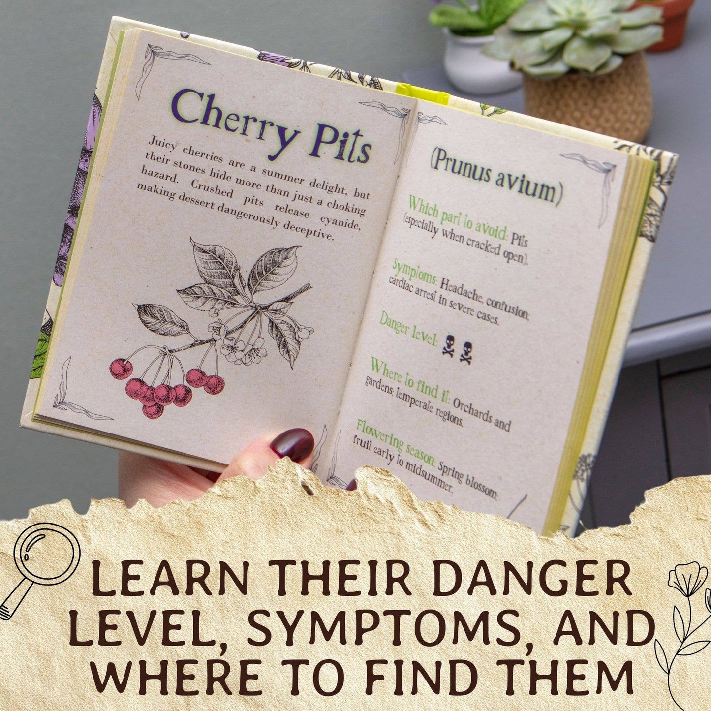Deadly Blooms – A Botanical Guide to the Deadliest Plants