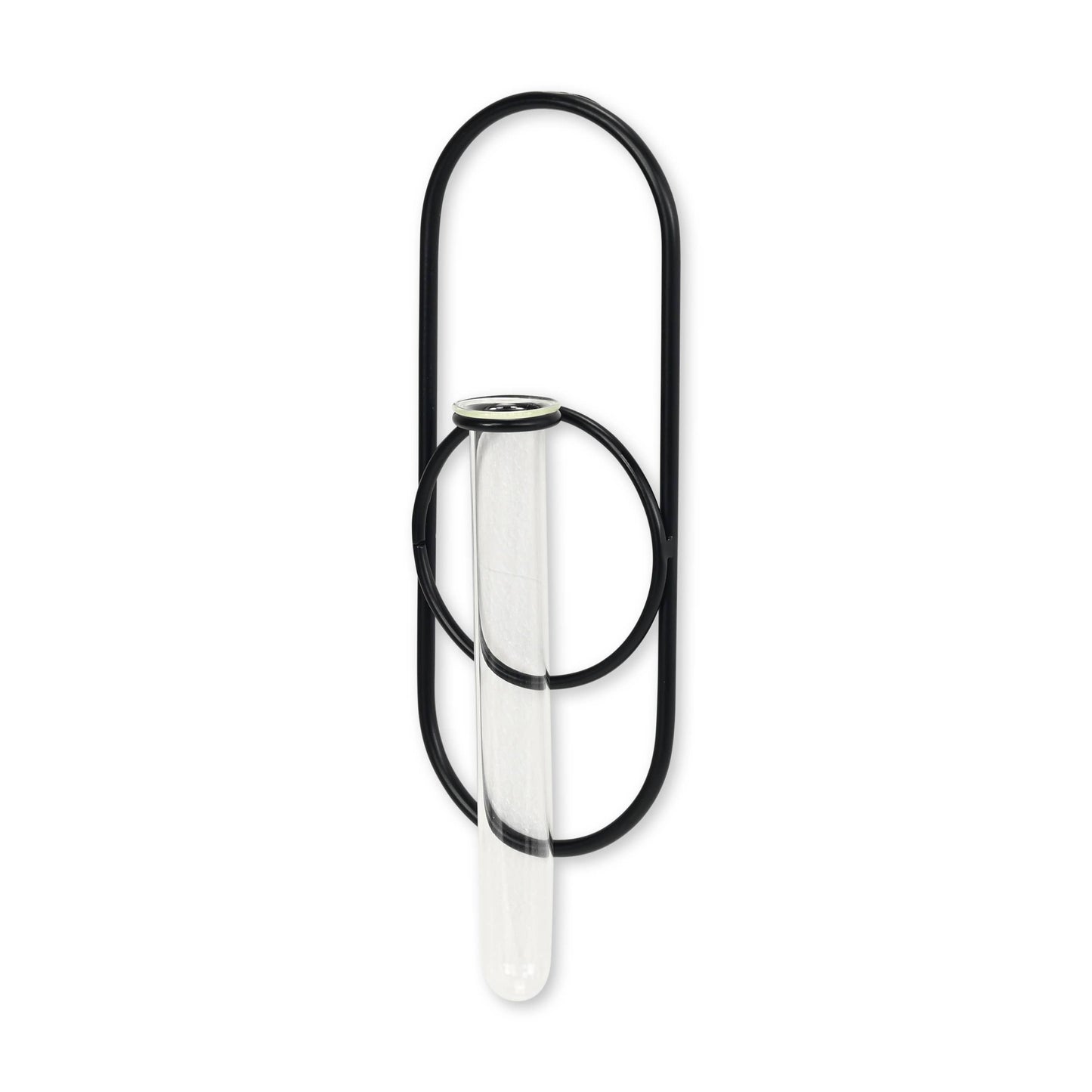 Sephra Metal Loop Glass Wall Planter: Black