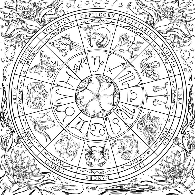 Green Witch's Coloring Book by Arin Murphy-Hiscock: Paperback; 80 pages / English