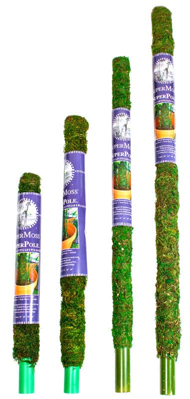 SuperMoss Moss Poles: 18"