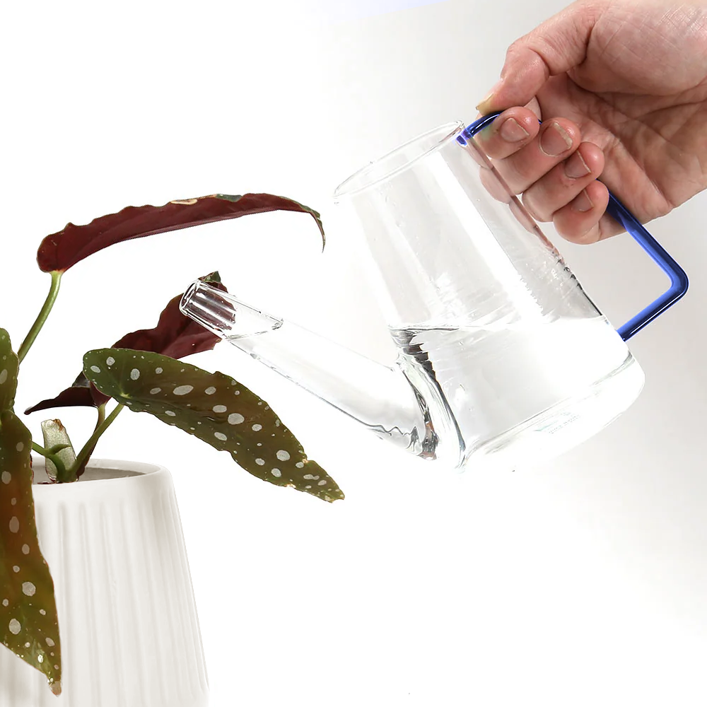 Colorful Glass Plant Watering Can: Green