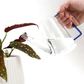 Colorful Glass Plant Watering Can: Green