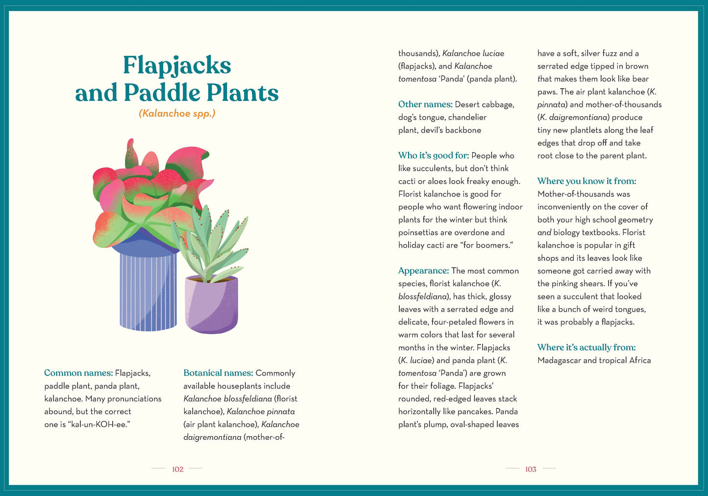 Green Dumb Guide to Houseplants