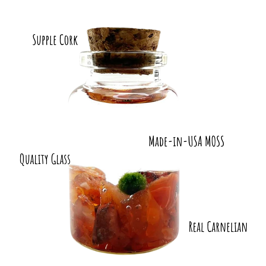Tiny Marimo Moss Ball Terrarium with Carnelian Gemstones: Single