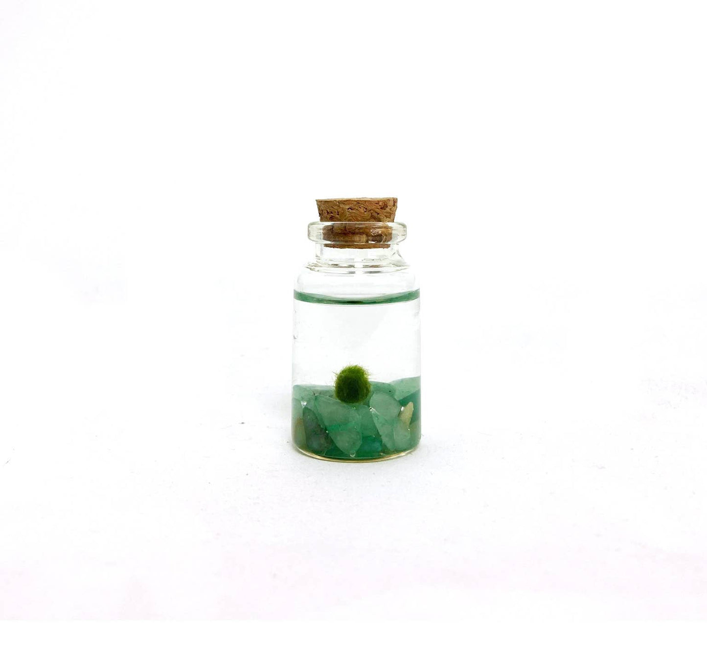 Tiny Marimo Moss Ball Terrarium with Aventurine Gemstones: Single