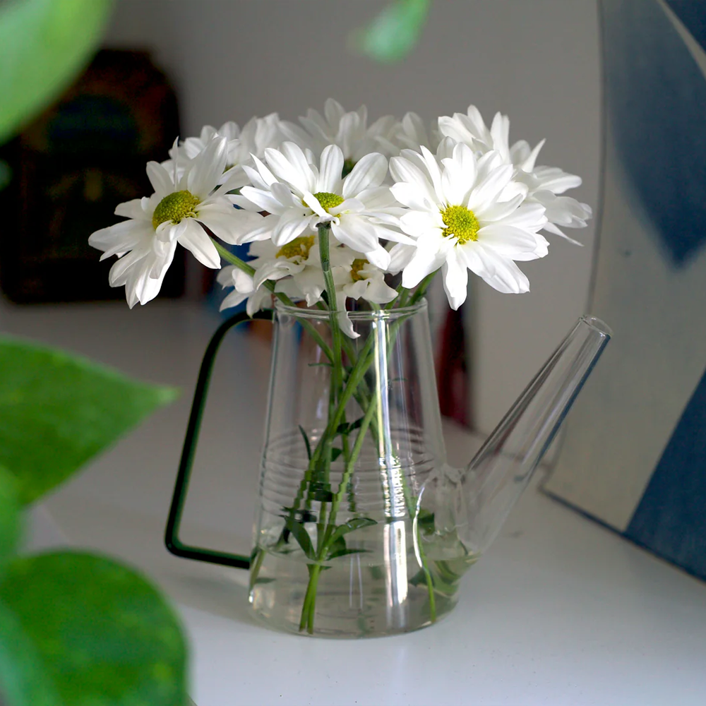 Colorful Glass Plant Watering Can: Green