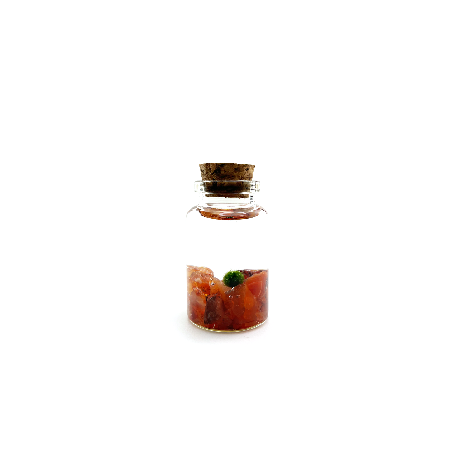 Tiny Marimo Moss Ball Terrarium with Carnelian Gemstones: Single